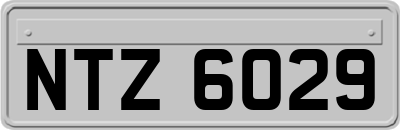 NTZ6029