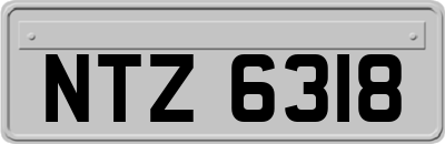 NTZ6318