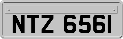 NTZ6561
