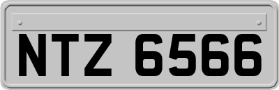 NTZ6566