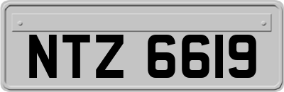 NTZ6619