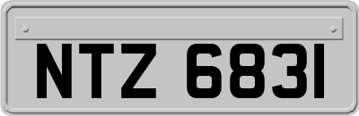 NTZ6831