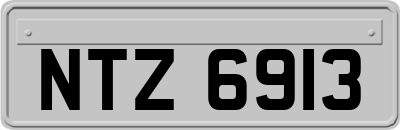 NTZ6913