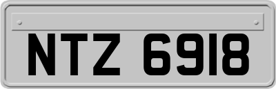 NTZ6918