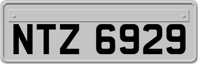 NTZ6929