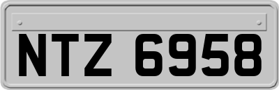 NTZ6958