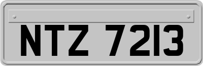 NTZ7213