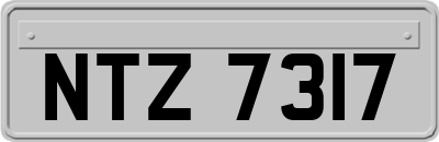 NTZ7317