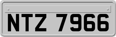 NTZ7966
