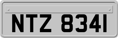 NTZ8341