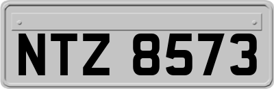 NTZ8573