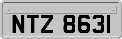 NTZ8631