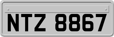 NTZ8867
