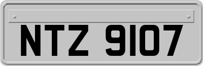 NTZ9107