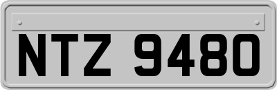 NTZ9480