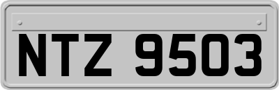 NTZ9503