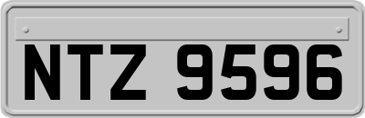 NTZ9596