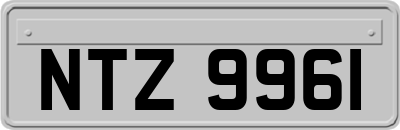 NTZ9961
