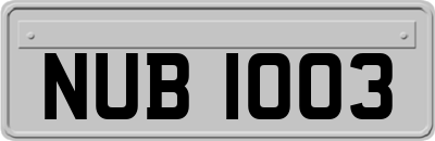 NUB1003