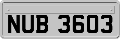 NUB3603