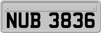 NUB3836