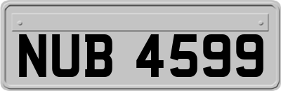 NUB4599