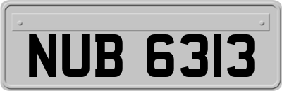 NUB6313
