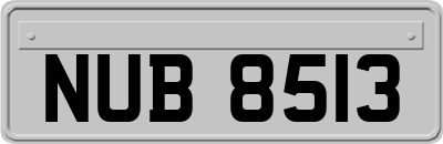 NUB8513