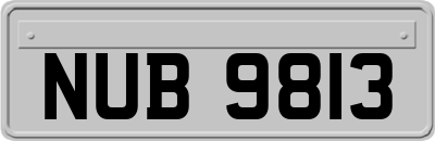 NUB9813