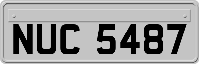 NUC5487