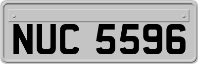 NUC5596