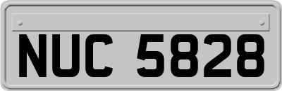 NUC5828