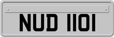 NUD1101