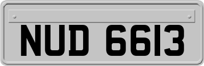 NUD6613