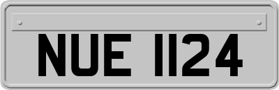NUE1124