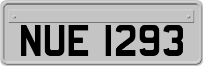 NUE1293