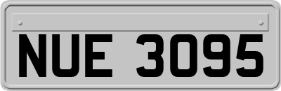 NUE3095