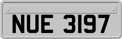 NUE3197