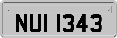 NUI1343