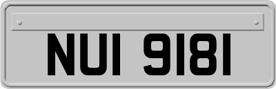 NUI9181