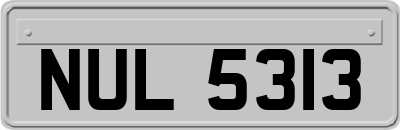 NUL5313