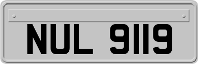 NUL9119