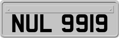 NUL9919