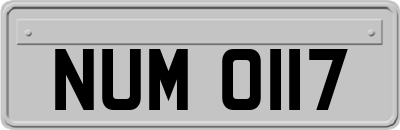 NUM0117