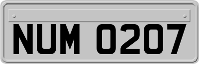 NUM0207