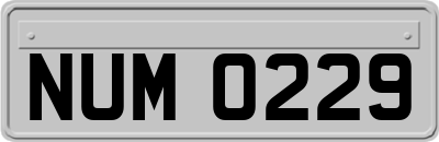 NUM0229