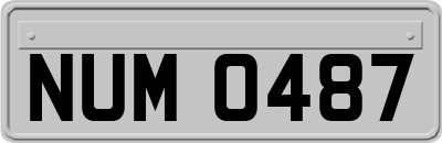 NUM0487