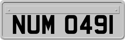 NUM0491