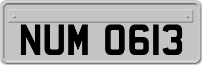 NUM0613