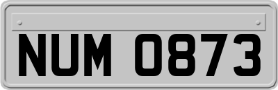 NUM0873